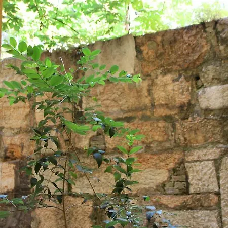 Appartamento Callasliving *